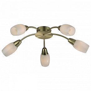 Потолочная люстра Odeon Light Otta 2067/5C