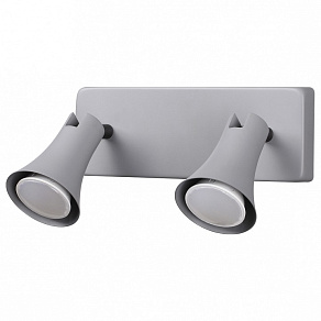 Спот Odeon Light Reanna 3825/2W