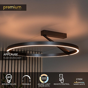 Светильник на штанге Lucide Applause 23100/60/15