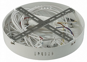 Потолочная люстра Lumion Alberta 8029/80CL