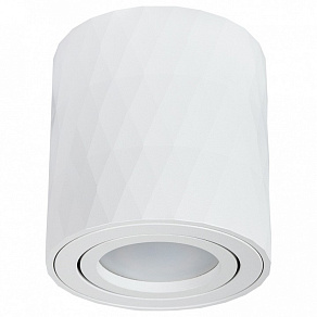 Накладной светильник Arte Lamp Fang 2 A5559PL-1WH