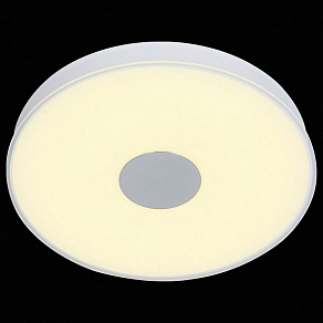 Накладной светильник ST-Luce Semplicita SL473.502.01D