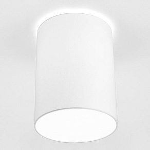 Накладной светильник Nowodvorski Cameron 9685