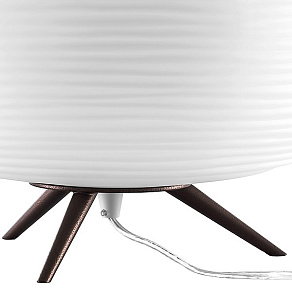 Настольная лампа декоративная Lightstar Arnia 805913