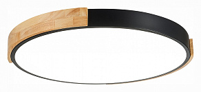 Накладной светильник EVOLUCE Delia SLE201342-01