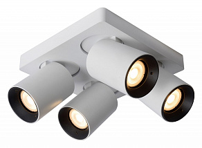 Спот Lucide Nigel 09929/20/31