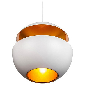 Подвесной светильник L'Arte Luce  L24611.02