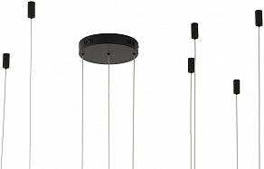 Подвесной светильник Zortes RINGOLIGHT ZRS.33320.120F