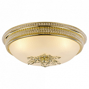 Накладной светильник Arte Lamp Vassolo A9205PL-3GO