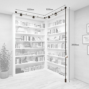 Комплект трековый Denkirs Belty SET DK55SET15-01-DG