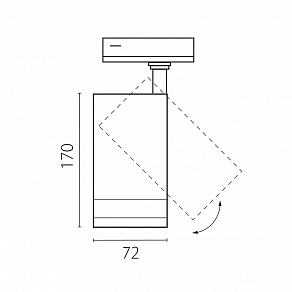 Светильник на штанге Lightstar Canno Pro C4207SS