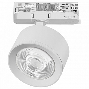 Светильник на штанге Lightstar Alta Pro A5546QT60G