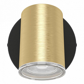 Спот Eglo CONSUMA 1 300583