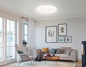 Накладной светильник Ambrella Light FZ FZ418