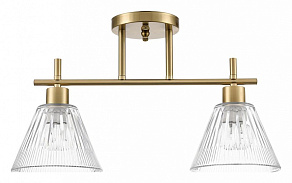 Светильник на штанге Lumion Vivian 8188/2C