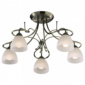 Потолочная люстра Odeon Light Kaena 2120/5C