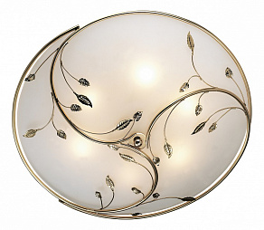Накладной светильник Odeon Light Regana 2728/6C