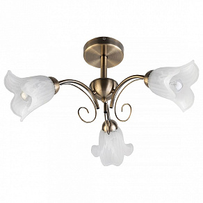 Люстра на штанге TopLight Magdalene TL3490X-03AB