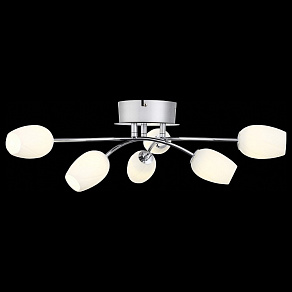 Потолочная люстра ST-Luce Luna SL478.102.06