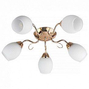 Потолочная люстра TopLight Kristin TL3520X-05FG