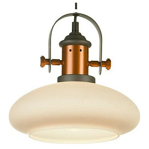 Подвесной светильник ST-Luce Sotto SLD982.303.01