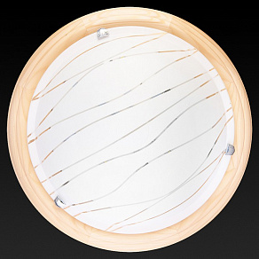 Накладной светильник TopLight Gabrielle TL9610Y-00PN
