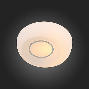 Накладной светильник ST-Luce Botone SL467.502.01
