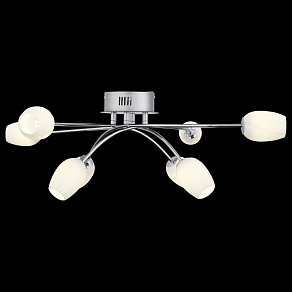 Потолочная люстра ST-Luce Luna SL478.102.08
