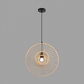 Подвесной светильник Lumion ECO 8383/1