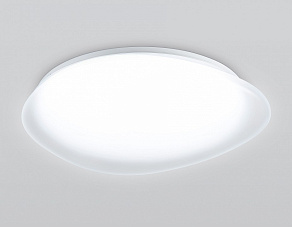 Накладной светильник Ambrella Light ORBITAL FZ1605
