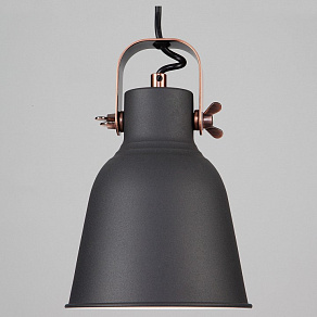 Подвесной светильник Eurosvet Projector 50083/1 черный