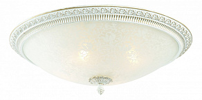 Накладной светильник ST-Luce Fascino SL135.502.04