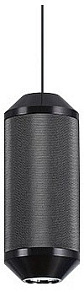 Подвесной светильник Arte Lamp Omicron A1134SP-7BK