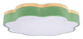 Накладной светильник Loft it Axel 10225/36 Green