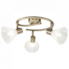 Спот Freya Paola FR7001CL-03BZ