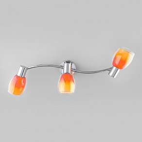 Спот Eurosvet Potpourri 20119/3 оранжевый