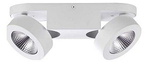 Спот Odeon Light Laconis 3538/2LC