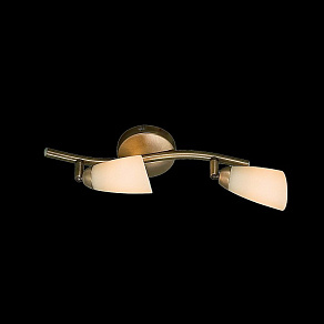 Спот Citilux Белла CL501523