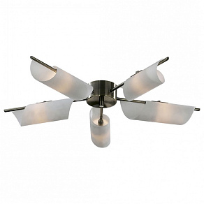 Потолочная люстра Odeon Light Ray 2015/5C