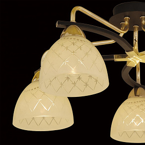 Потолочная люстра Citilux Кристи CL152252