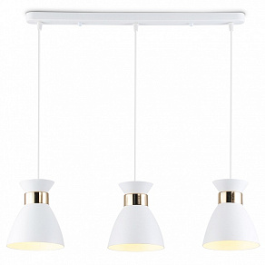 Подвесной светильник Ambrella Light TR TR8466