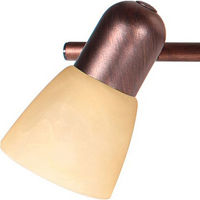 Спот TopLight Maxine TL1235Y-03AB