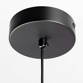 Подвесной светильник Citilux ORTON CL202021