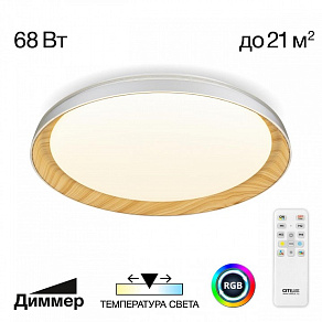 Накладной светильник Citilux MEGA CL752452G