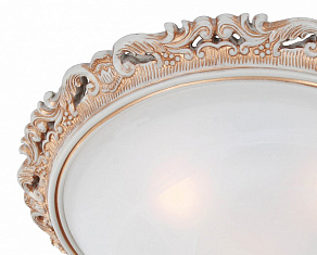 Накладной светильник Favourite Plafond 1444-3C