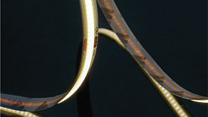 Лента светодиодная SWG PRO SWG-COB SWG-COB840-24-18-RGBWW