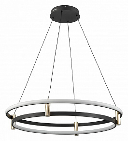 Подвесной светильник Vele Luce Libertas VL7314P24