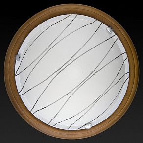 Накладной светильник TopLight Gabrielle TL9610Y-00OA