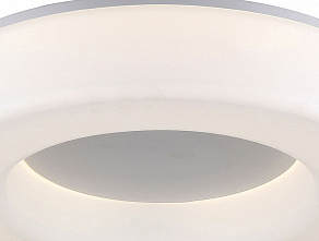 Накладной светильник ST-Luce Lordin SL886.502.01_LED