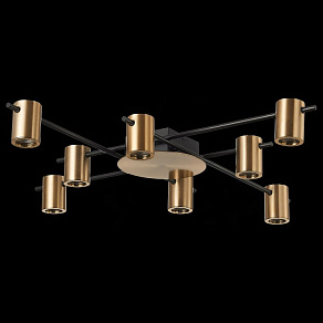 Потолочная люстра ST-Luce Veroli SL1207.402.08